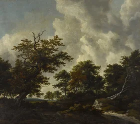 Bosky landscape with a large oak and two fallen beeches by a waterfall
