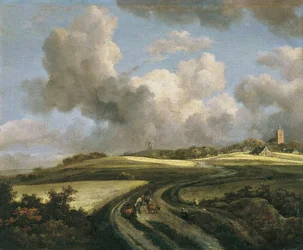 Path Through Wheat Fields Near Zuider Zee