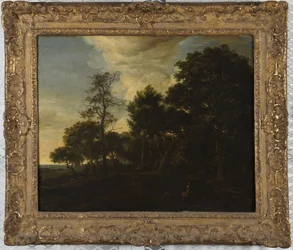Forest Landscape