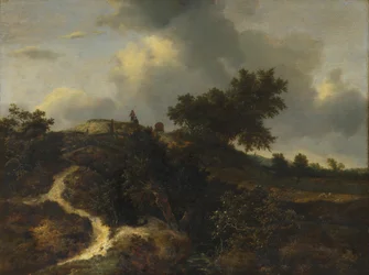 Sand Hills Overgrown with Trees