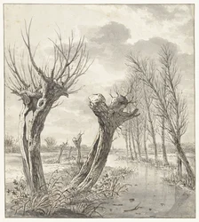 Winter Landscape with Pollard Willows along a Frozen Ditch
