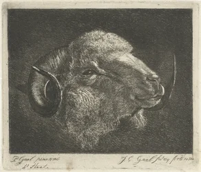 Head of a Ram with Backward-Turned Horns