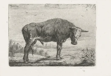 Standing Bull
