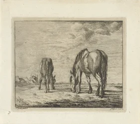 Two Grazing Horses