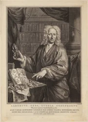 Portrait of Albert Seba, Apothecary and Famous Collector of Natural History Specimens