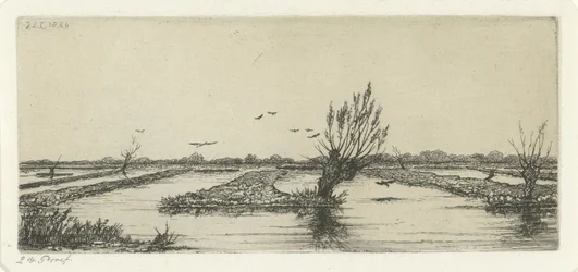 Peat lake