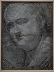 Portrait of Vitellio Grimani
