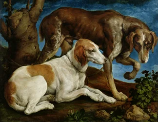 Two Hunting Dogs Tied to a Tree Stump