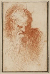 Head of a Bearded Man