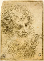 Head of Bearded Old Man (recto); Decorative Sketch of Flower and Leaves (verso)