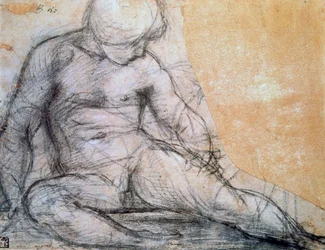 Seated Boy