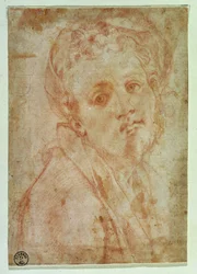 Self Portrait