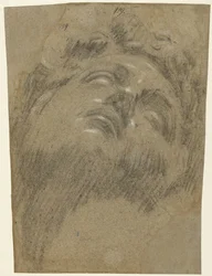 Head of Giuliano dei Medici