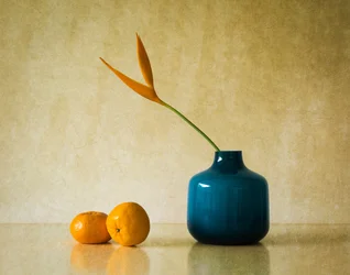 Tropical Bloom and Oranges