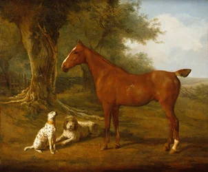 A Chestnut Hunter with a Briard and a Dalmatian