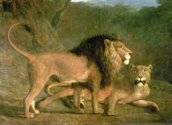 A Lion and a Lioness in a Rocky Valley
