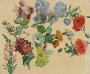 Studies of Summer Flowers