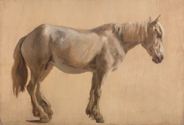 Study of a Grey Horse