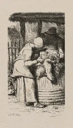 Woman Shearing Sheep