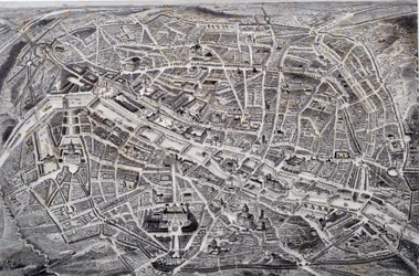 Map of Paris in relief and a bird