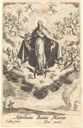 Attributes of the Virgin