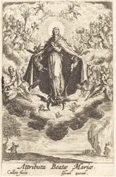 Attributes of the Virgin