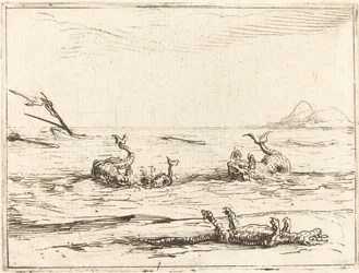 Dolphins and Crocodile