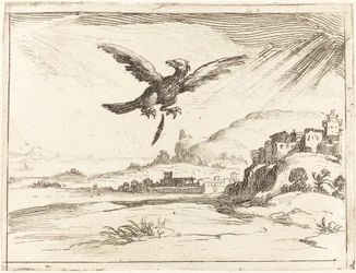 Eagle Losing an Old Feather