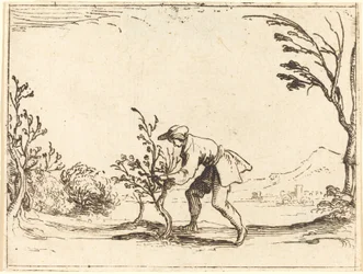 Man Cutting a Balm-Tree