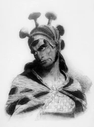 Hawaiian Warrior Wearing a Helmet with a Mushroom Ornamented Crest