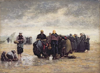 On the Shore