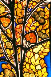 Nancy, Art Nouveau, Hotel Bergeret, Stained glass roses & seagulls