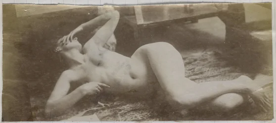 Study of a Female Nude Model, Lying on a Tiger Skin, in the Studio of Jacques de Lalaing