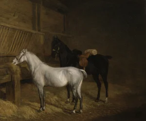 A grey pony and a black charger in a stable