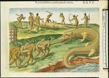 Hunting Crocodiles, from 