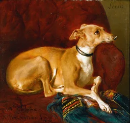 A Greyhound Resting on a Chair