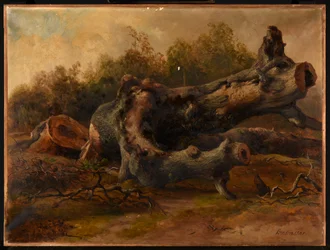 Cut Tree