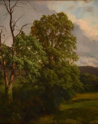 The Oaks