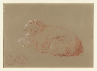Lying Sheep with Lamb