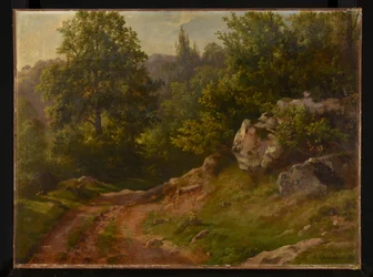 Forest Landscape