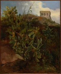 Tower and Cactus