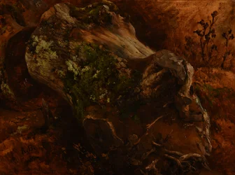 Tree Trunk with Roots