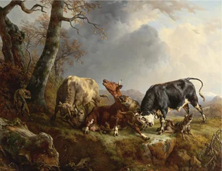 Two Bulls Defending a Cow Attacked by Wolves