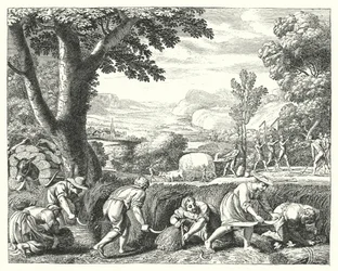 Harvest Scene