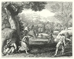 Harvest Scene
