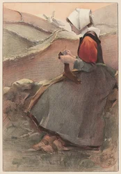 Flower of the Heath, 1897.