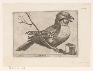 Eurasian Jay (Garrulus glandarius)