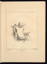 Design for Cartouche Evoking the Sea