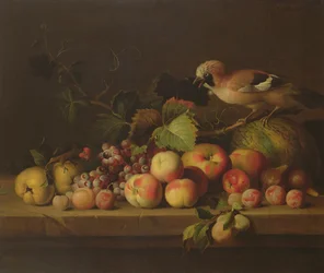 Still Life with Fruit, a Jay and a Parrot