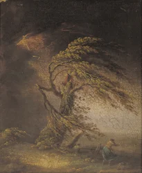 A tree struck by lightning